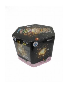 Bateria Peonia + Intermitente